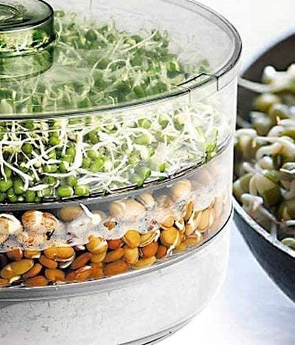 Grains Seeds Dal Channa Chole Ragi Organic Sprouting Jar