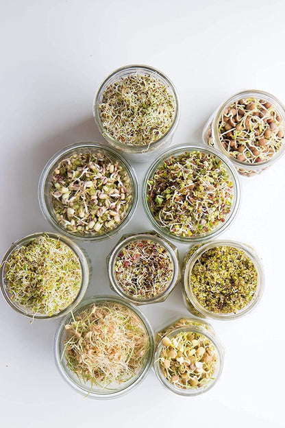 Grains Seeds Dal Channa Chole Ragi Organic Sprouting Jar