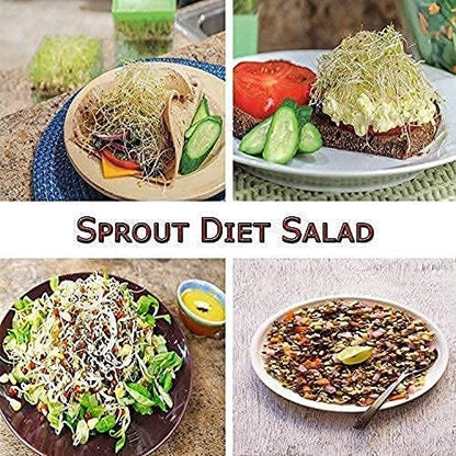 Grains Seeds Dal Channa Chole Ragi Organic Sprouting Jar