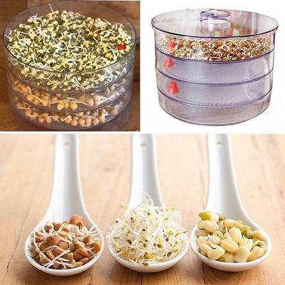 Grains Seeds Dal Channa Chole Ragi Organic Sprouting Jar